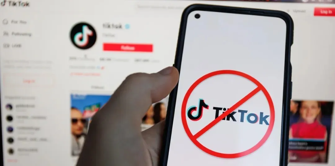 Tk下架最后时光，美国网红集体摊牌不装了：其实我视频和人设都是装的！！ 第2张