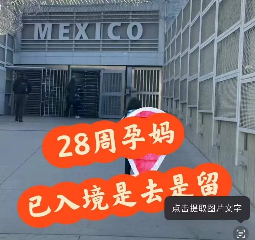 重磅！美国终止出生公民权，F/H/B/O/L签证都受影响！ 第10张