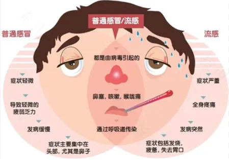 大S因流感并发肺炎去世，为何流感如此致命？这几点一定要注意？ 第4张