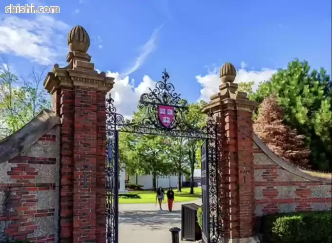 突发! 特朗普全面冻结学签申请 祭最严社媒审查! 9月入学恐泡汤 大批华人崩溃! 第9张